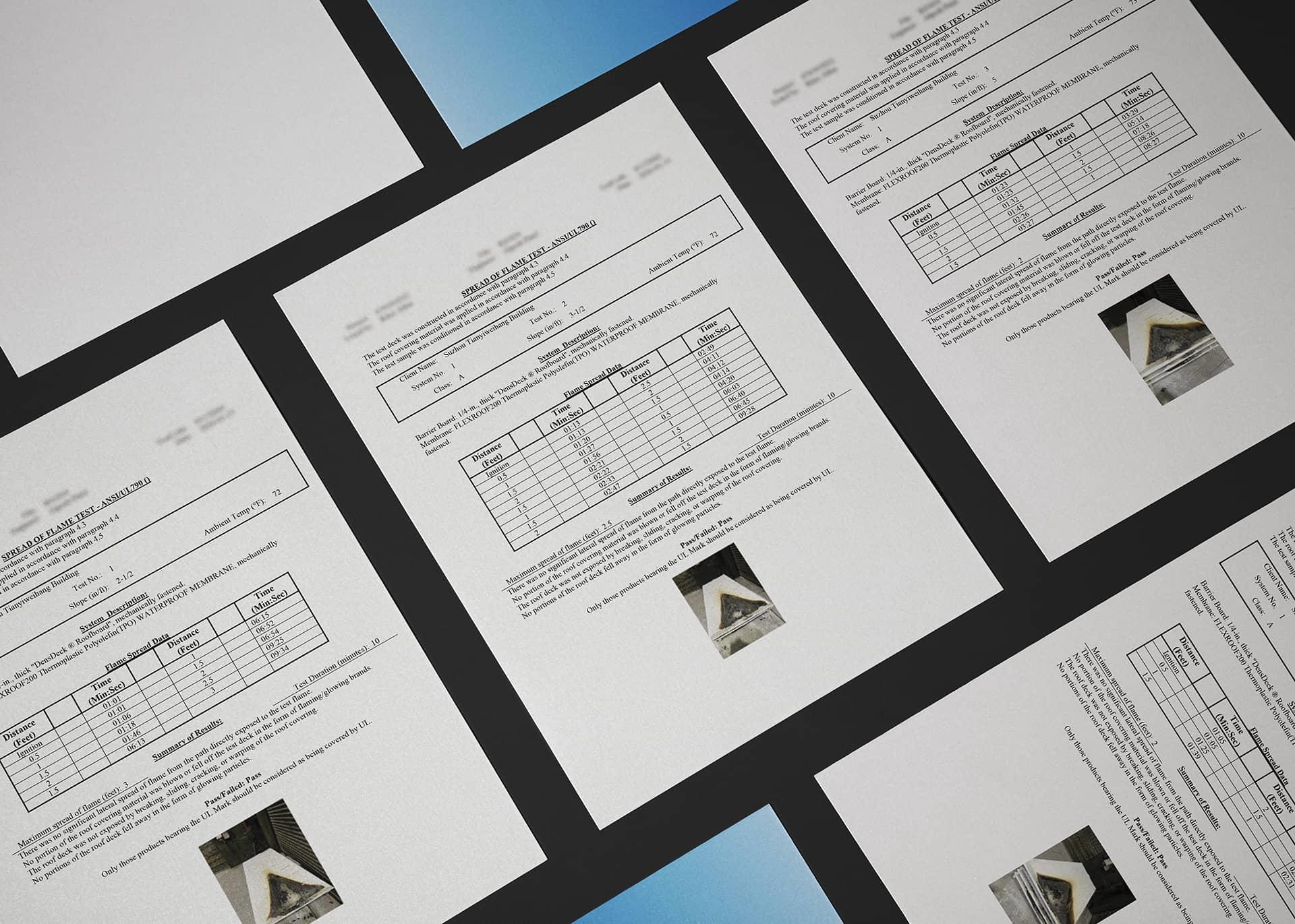 微信图片_20260115153436_2284_9.jpg 微信图片_20260115153436_2284_9.jpg